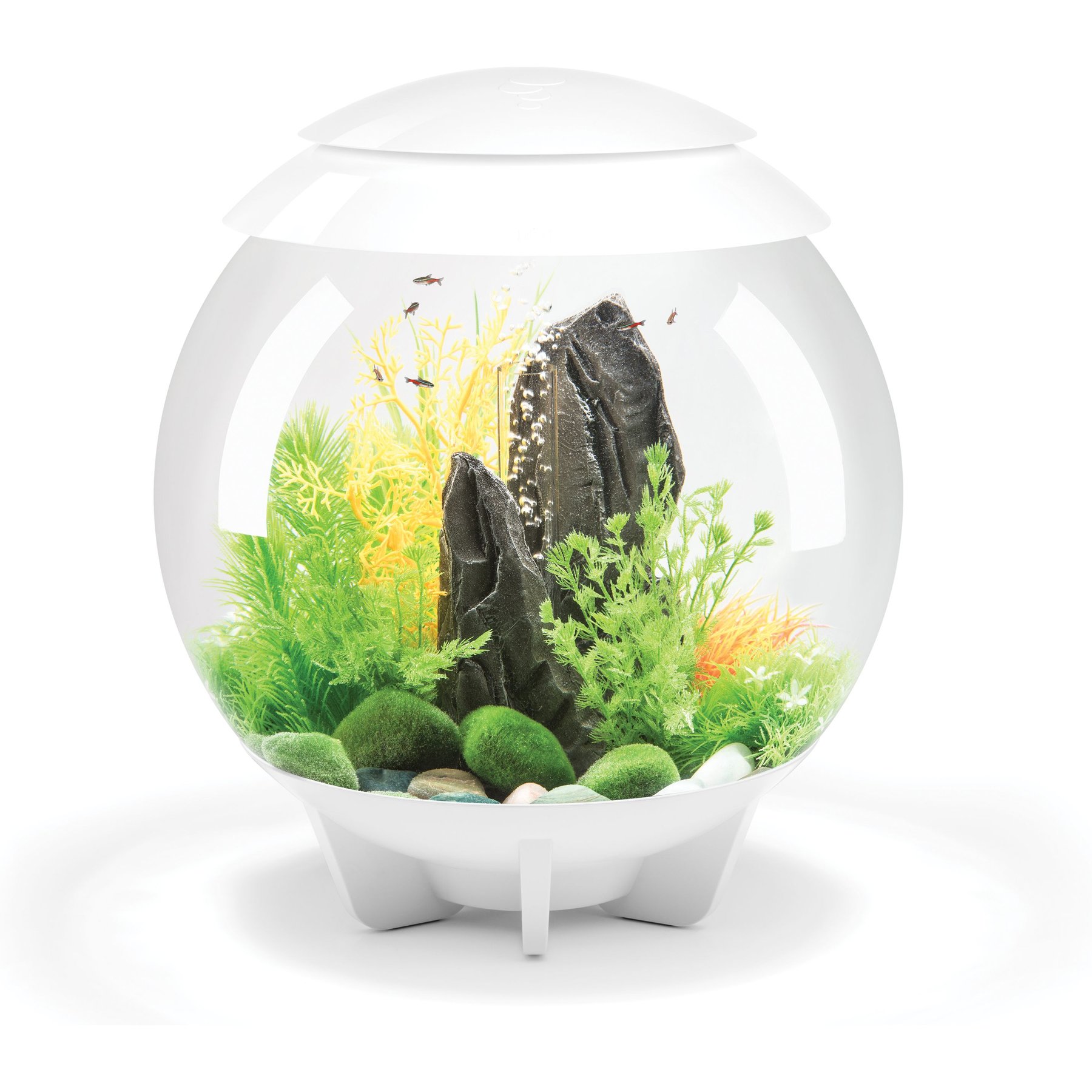 biOrb HALO MCR Aquarium, White, 8-gal