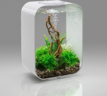 Show full view: biOrb LIFE LED Aquarium, White, 4-gal slide 4 of 4