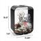 Show in main carousel: biOrb LIFE MCR Aquarium, Black, 4-gal slide 2 of 5