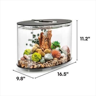 Show full view: biOrb LOOP 15 MCR Light Fish Aquarium, 4-gal, Black slide 2 of 6