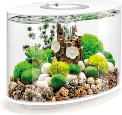 biOrb LOOP 15 MCR Light Fish Aquarium, 4-gal, White