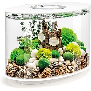 biOrb LOOP 15 MCR Light Fish Aquarium, 4-gal, White
