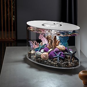 biOrb LOOP 15 MCR Light Fish Aquarium, 4-gal, White