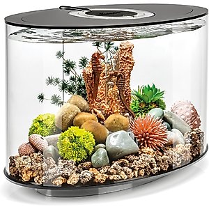 biOrb LOOP 15 Standard Light Fish Aquarium, 4-gal, Black