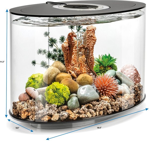 Show full view: biOrb LOOP 15 Standard Light Fish Aquarium, 4-gal, Black slide 3 of 3