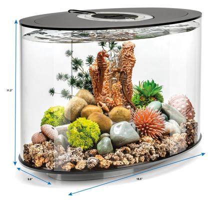 Show full view: biOrb LOOP 15 Standard Light Fish Aquarium, 4-gal, Black slide 3 of 3