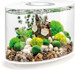 biOrb LOOP 15 Standard Light Fish Aquarium, 4-gal, White