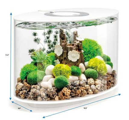 Show full view: biOrb LOOP 15 Standard Light Fish Aquarium, 4-gal, White slide 3 of 3