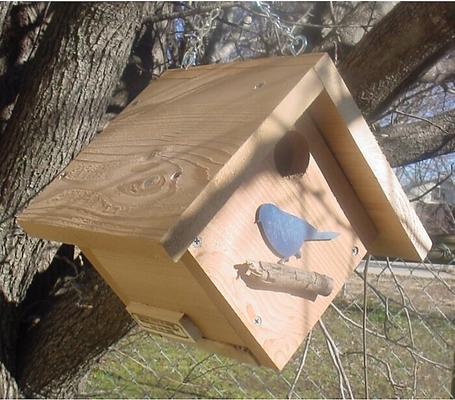 Show full view: Bird Houses by Mark Cedar Cube Bird House slide 3 of 4