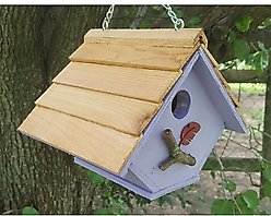 Bird Houses by Mark Chalet Wren Bird House, Lavender