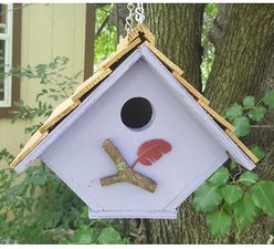 Bird Houses by Mark Chalet Wren Bird House, Lavender slide 2 of 4