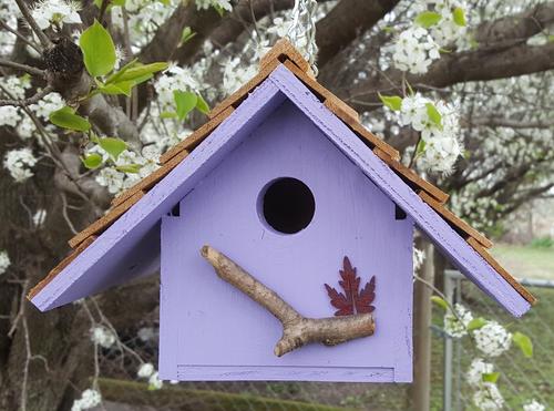 Show full view: Bird Houses by Mark Chateau Wren Bird House, Lavender slide 2 of 5