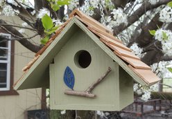 Bird Houses by Mark Chateau Wren Bird House, Sage