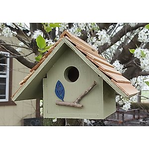 Bird Houses by Mark Chateau Wren Bird House, Sage