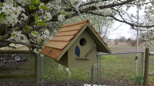 Show full view: Bird Houses by Mark Chateau Wren Bird House, Sage slide 2 of 5