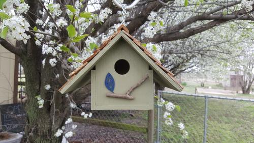 Show full view: Bird Houses by Mark Chateau Wren Bird House, Sage slide 3 of 5