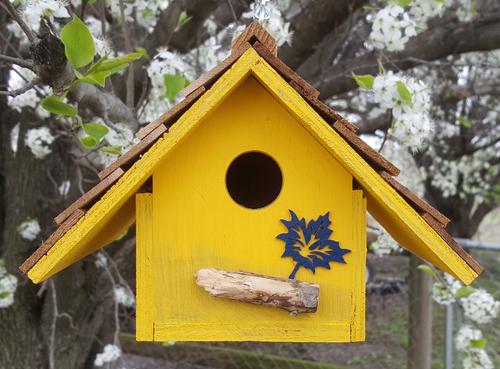 Show full view: Bird Houses by Mark Chateau Wren Bird House, Yellow slide 2 of 4
