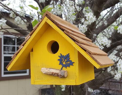 Show full view: Bird Houses by Mark Chateau Wren Bird House, Yellow slide 3 of 4