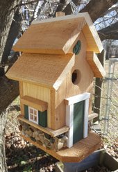 Bird Houses by Mark Chesapeake Cedar Bird House, Green