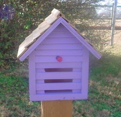 Bird Houses by Mark Homestead Ladybug Bird House, Lavender