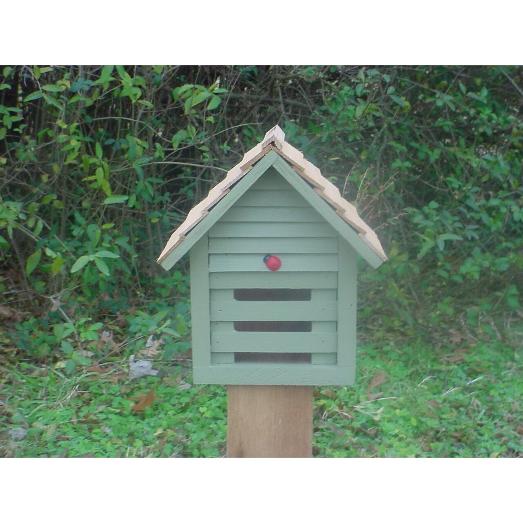 Bird Houses by Mark Homestead Ladybug Bird House, Sage