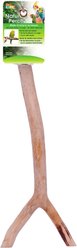 Bird Life Cockatiel Small & Medium Bird Perch, 10-in