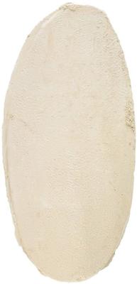 Show full view: Bird Life Earth-Friendly Natural Bird Cuttlebone, 6-pack slide 4 of 5