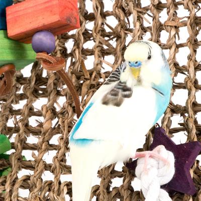 Show full view: Bird Life Natural Weave Bird Cage Climbing Mat, 13.75 x 13.75-in slide 3 of 8