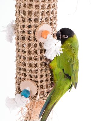 Show full view: Bird Life Natural Weave Bird Toy, Medium, 21-in slide 3 of 8