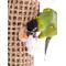 Show in main carousel: Bird Life Natural Weave Bird Toy, Medium, 21-in slide 5 of 8