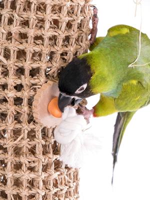 Show full view: Bird Life Natural Weave Bird Toy, Medium, 21-in slide 5 of 8