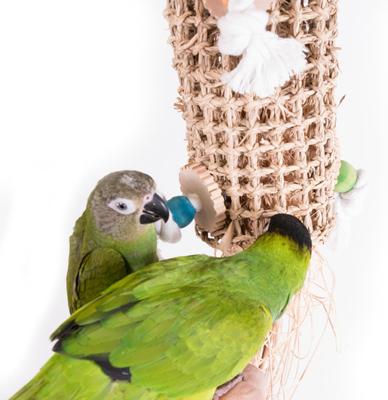 Show full view: Bird Life Natural Weave Bird Toy, Medium, 21-in slide 4 of 8