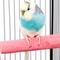 Show in main carousel: Bird Life Parakeet & Small Bird Perch, 6-in slide 2 of 5