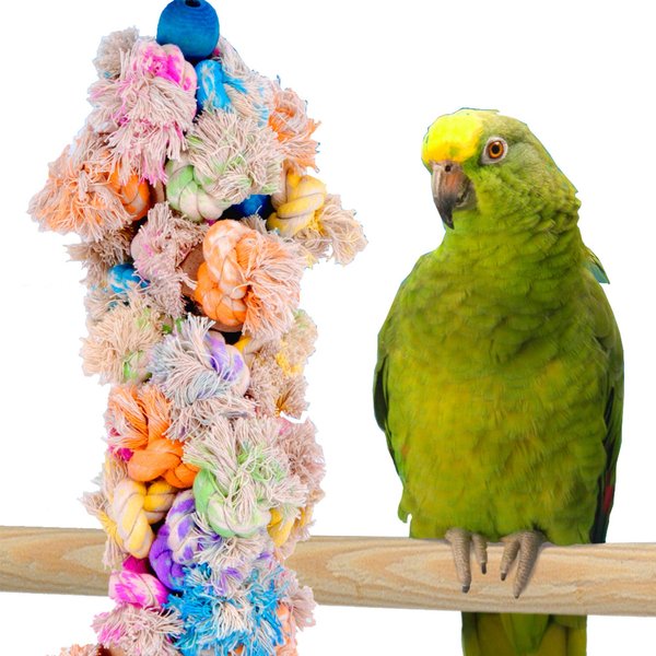 Bird Life Parrot & Large Bird Shaggy-Kabob