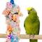 Show in main carousel: Bird Life Parrot & Large Bird Shaggy-Kabob slide 3 of 3