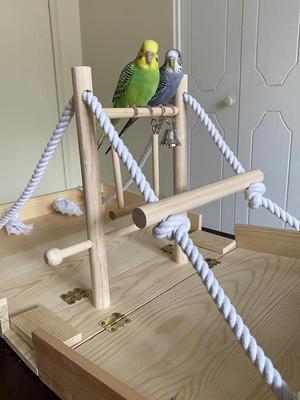 Show full view: Bird Life Penn-Plax Foldable Bird Playpen, Natural Brown, XX-Large slide 5 of 9