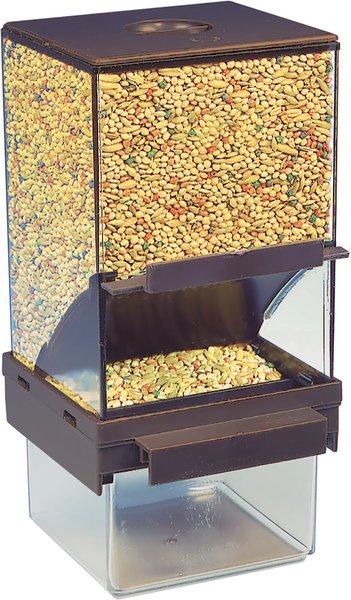 Bird Life Vacation Bird Feeder
