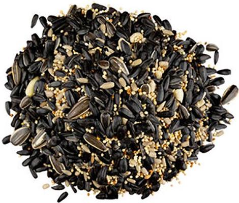 Show full view: Bird Pro Backyard Blend Classic Bird Food, 5-lb bag slide 3 of 5