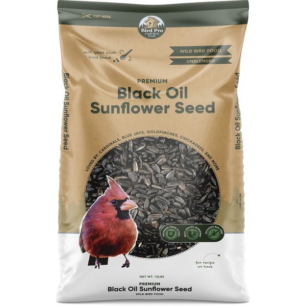 Colorful Companions Black Oil Sunflower Premium Wild Bird Food, 20-lb bag