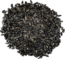 Bird Pro Premium Black Oil Sunflower Seeds Bird Food, 10-lb bag slide 2 of 3