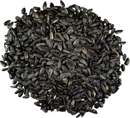 Show full view: Bird Pro Premium Black Oil Sunflower Seeds Bird Food, 10-lb bag slide 3 of 4