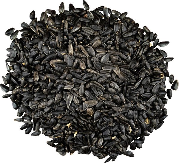 Show full view: Bird Pro Premium Black Oil Sunflower Seeds Bird Food, 5-lb bag slide 2 of 4