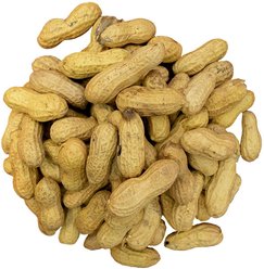 Bird Pro Premium Raw Peanuts In-Shell Bird Food, 7-lb bag slide 2 of 4