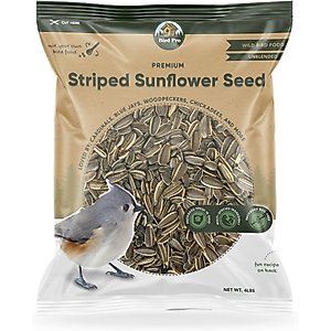 Bird Pro Premium Striped Sunflower Seeds Bird Food, 4-lb bag