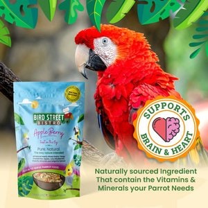 Bird Street Bistro AppleBerry Feast on the Fly Cook To Serve Bird Food, 18-oz bag