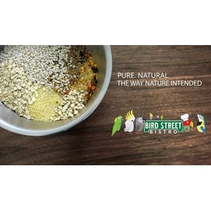 Bird Street Bistro AppleBerry Feast on the Fly Cook To Serve Bird Food, 18-oz bag