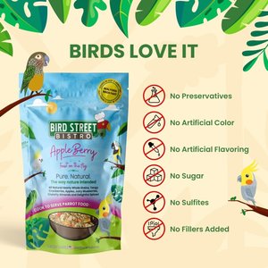 Bird Street Bistro AppleBerry Feast on the Fly Cook To Serve Bird Food, 18-oz bag