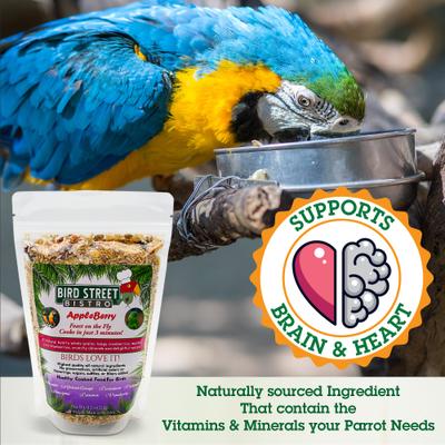 Show full view: Bird Street Bistro AppleBerry Feast on the Fly Bird Food, 18-oz, case of 4 slide 2 of 7