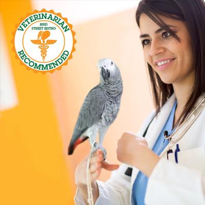 Show full view: Bird Street Bistro AppleBerry Feast on the Fly Bird Food, 18-oz, case of 4 slide 3 of 7