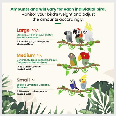 Show full view: Bird Street Bistro Bean Feast on the Fly Bird Food, 4 count, 44-oz box slide 6 of 8